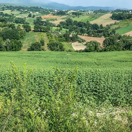 Casa La Brusa * Otricoli